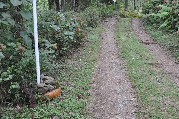 Property Grounds 14 of 35