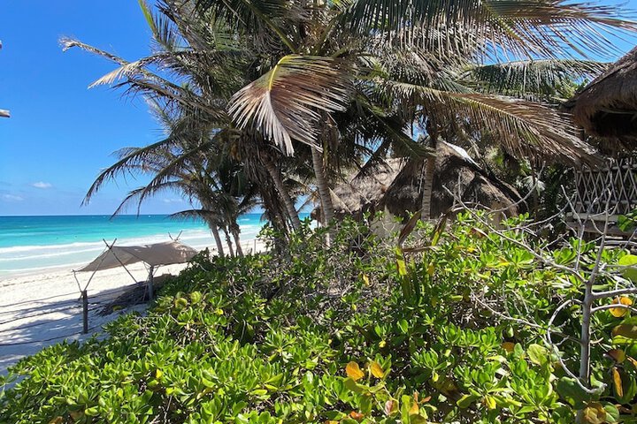 Beach 149 of 163
