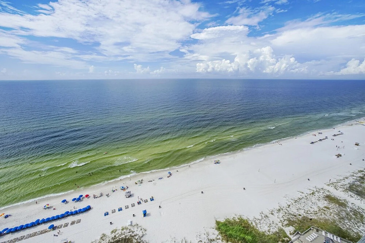 Beach 15 of 50