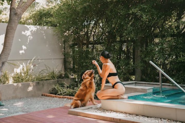 Pet Friendly 54 of 64