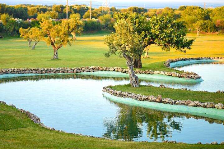 Golf 24 of 38