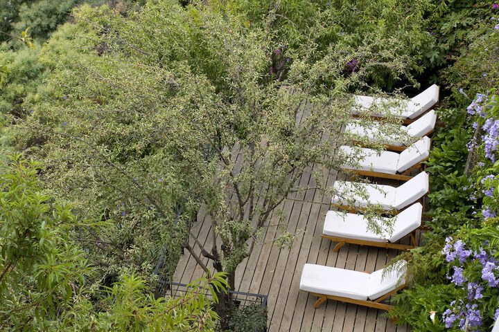 Terrace/Patio 56 of 63