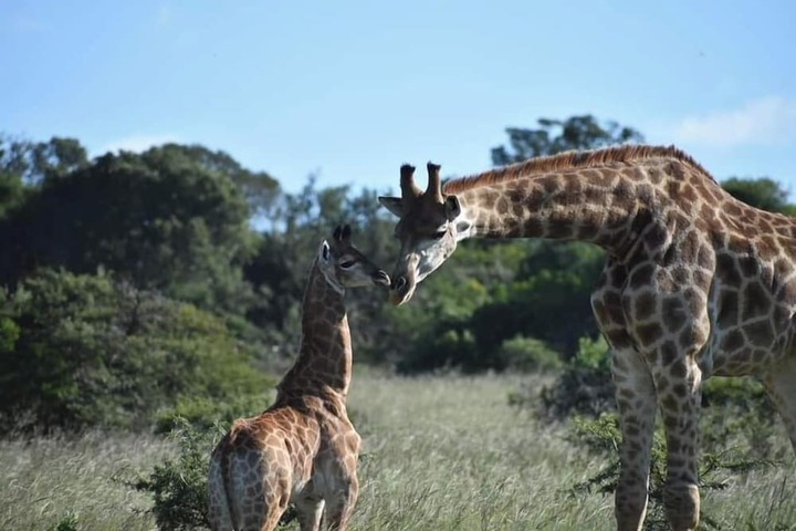 Hotel View 61 of 113