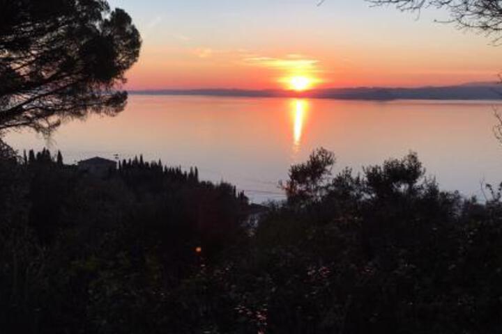 General 37 of 161