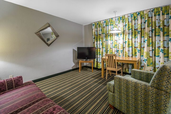 Suite King Bed Pet Friendly (16 of 21)