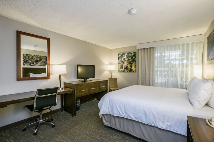1 King Bed (8 of 11)