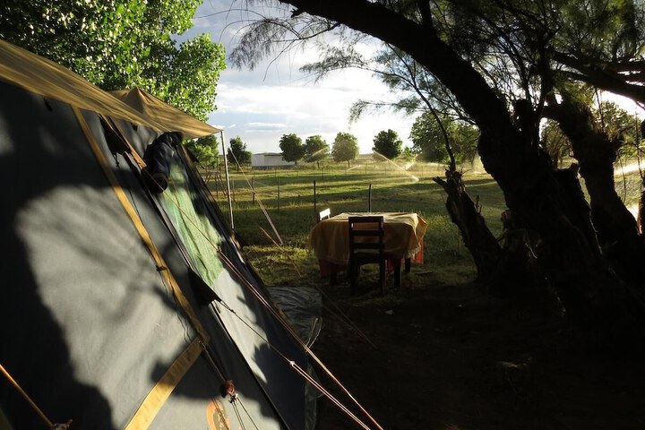 Property Grounds 20 of 33