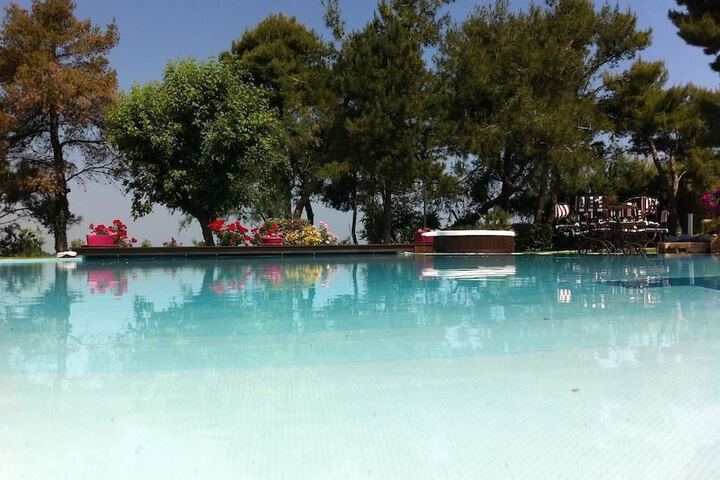 Pool 8 of 31