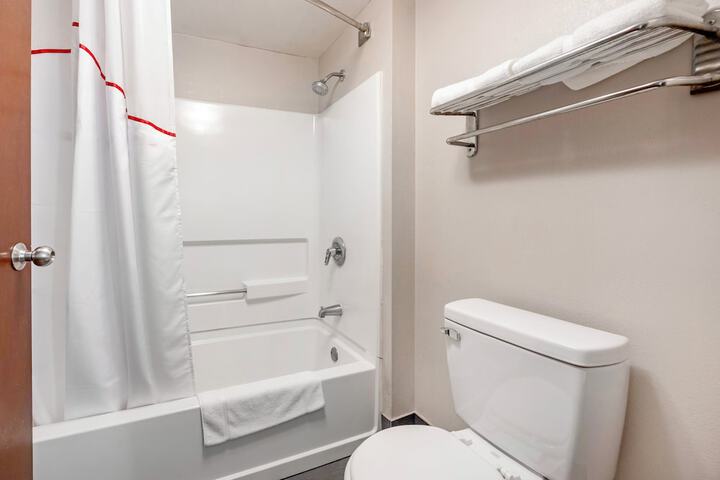 ADA Accessible Deluxe 1 Queen Bed with Roll in Shower (12 of 14)