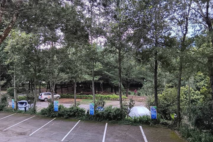 Property Grounds 42 of 46