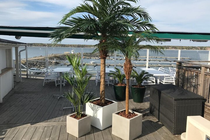 Terrace/Patio 13 of 45