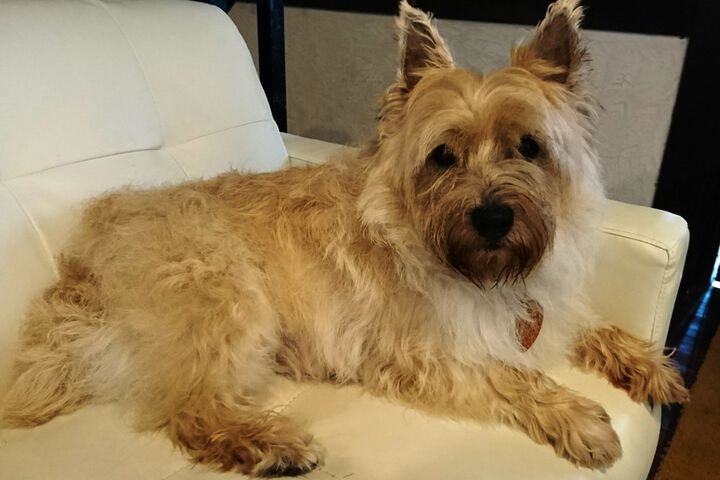 Pet Friendly 49 of 92