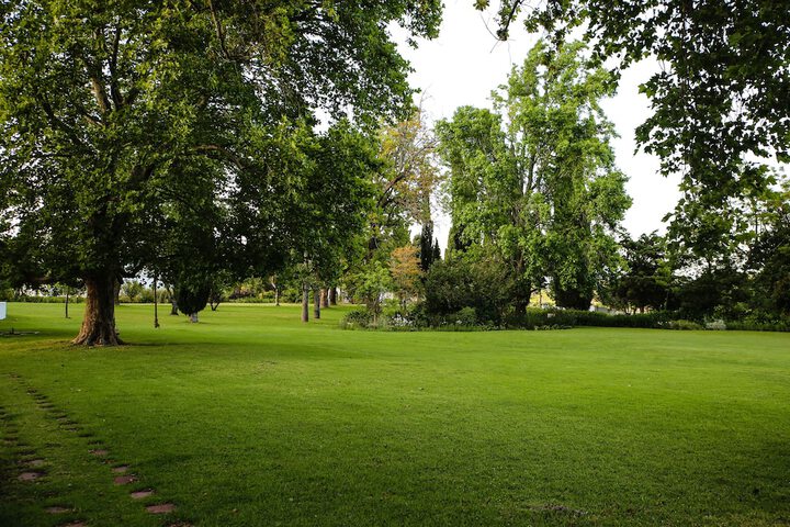 Property Grounds 10 of 40