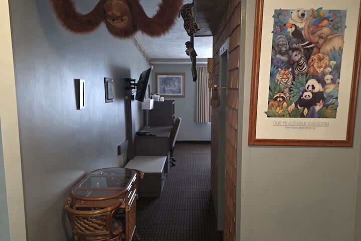 Children's theme room