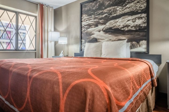1 King Bed (1 of 11)