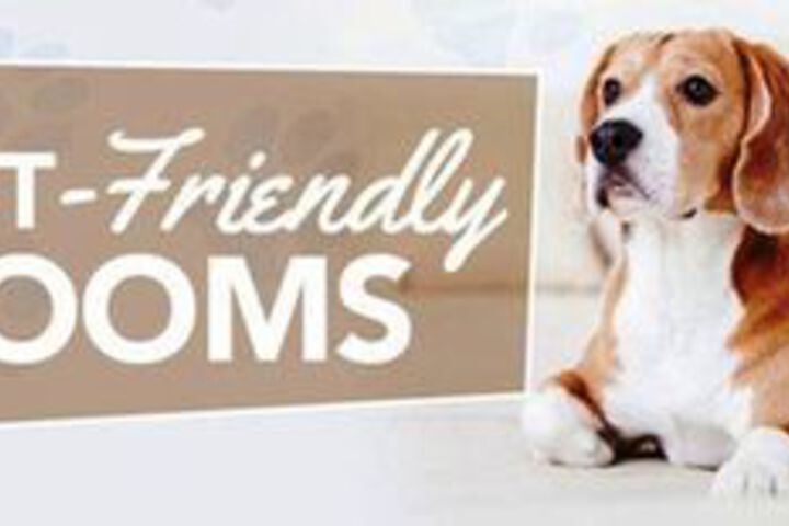 Pet Friendly 24 of 27