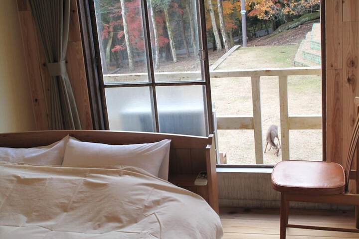 Room 12 of 57