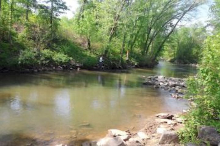 Property Grounds 8 of 11