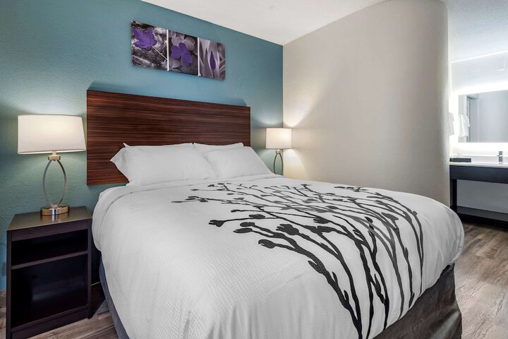 Queen Bed Accessible (3 of 13)