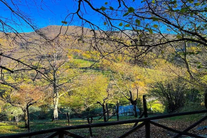 Spoleto Splash : Cisterna sleeps 2 3 wifi aircon Beautiful Views all Around