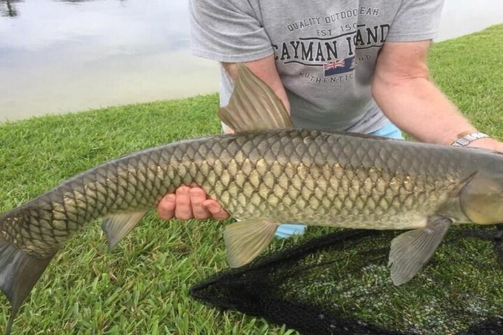 Outdoor Activities 23 of 39