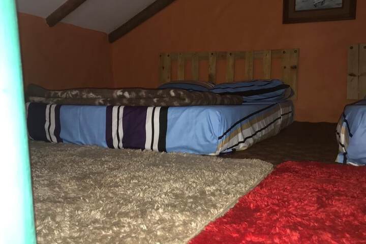 Room 3 of 185