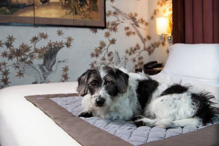 Pet Friendly 58 of 95