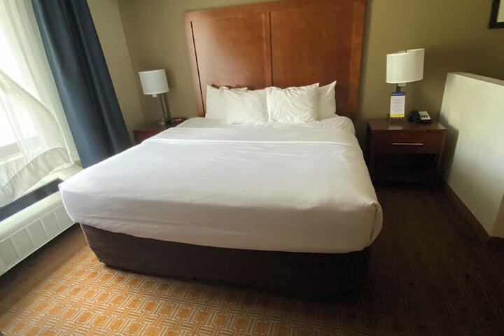 Standard | King Bed (3 of 18)