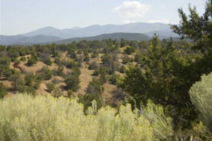 Property Grounds 26 of 36