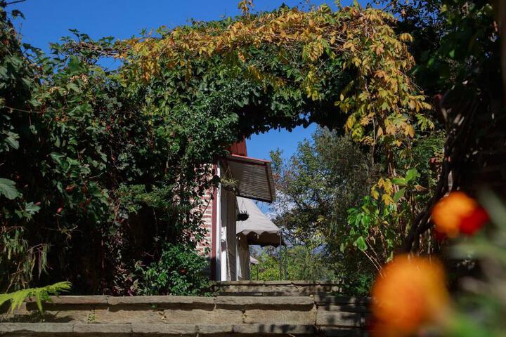 General 28 of 50