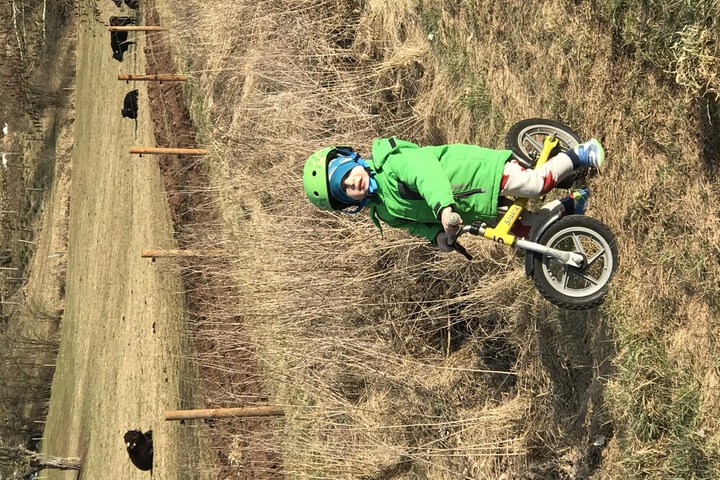 Outdoor Activities 34 of 101