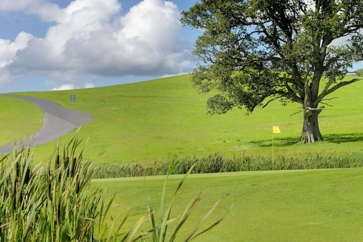 Golf 43 of 74