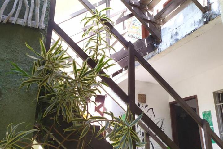 Photo 27