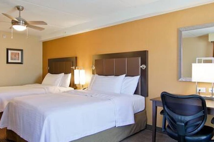 1 King Bed Studio Suite (22 of 22)