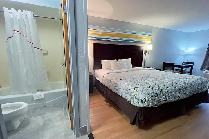 ADA Accessible Studio 1 King Bed Roll in Shower (6 of 14)