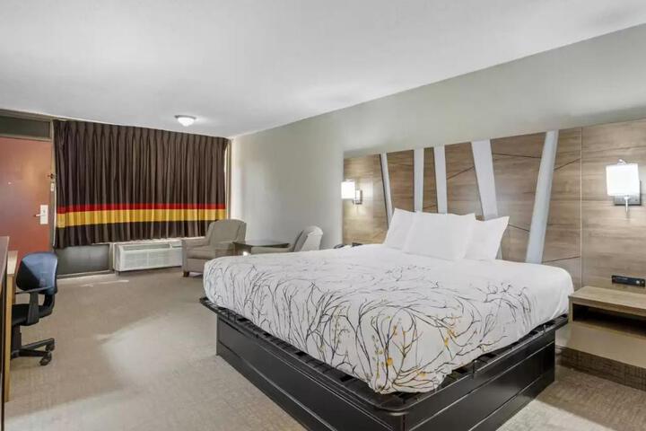 1 King Bed (2 of 7)