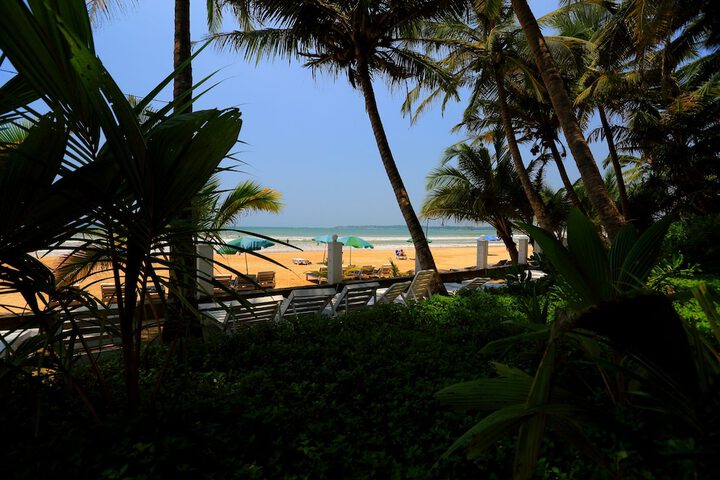 Beach 48 of 51