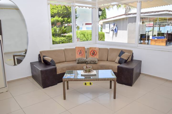 Lounge 24 of 50