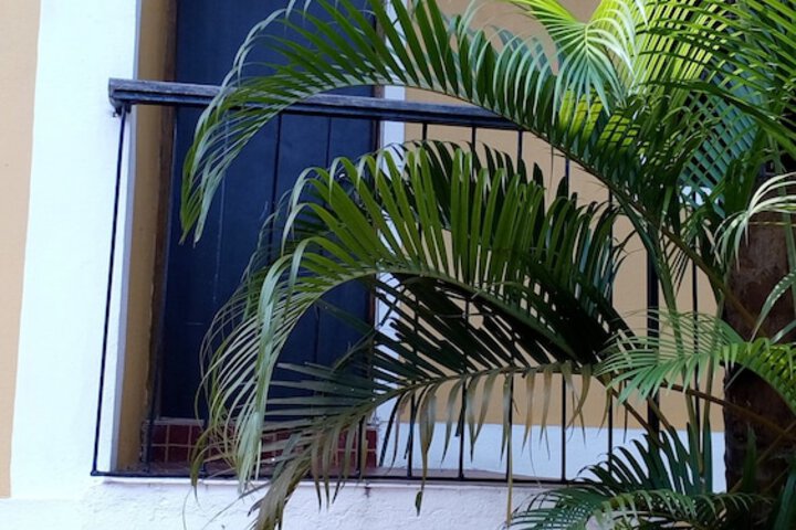 Terrace/Patio 20 of 35