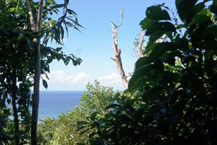 Room 21 of 26