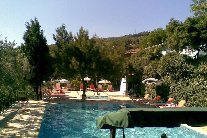 Pool 17 of 46