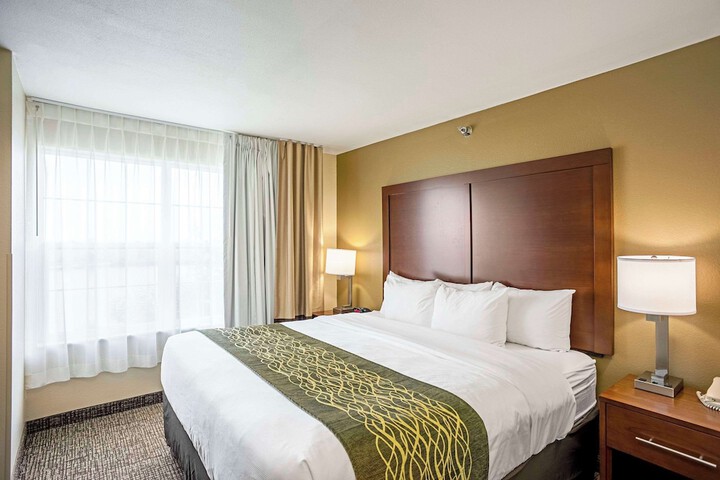 1 King Bed (1 of 14)