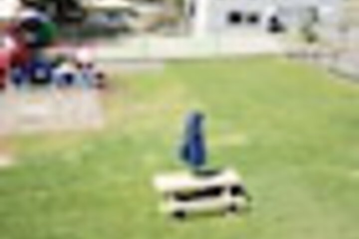 Childrens Activities 50 of 78