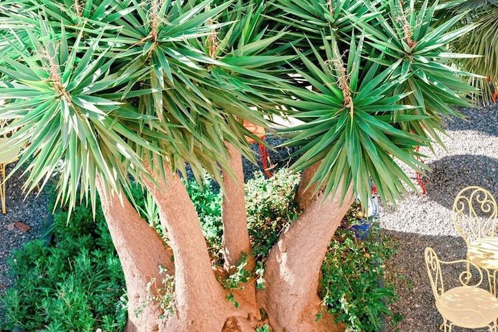 Hotel 67 of 68