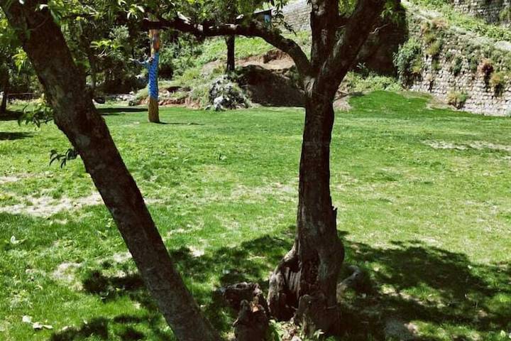 Property Grounds 37 of 53