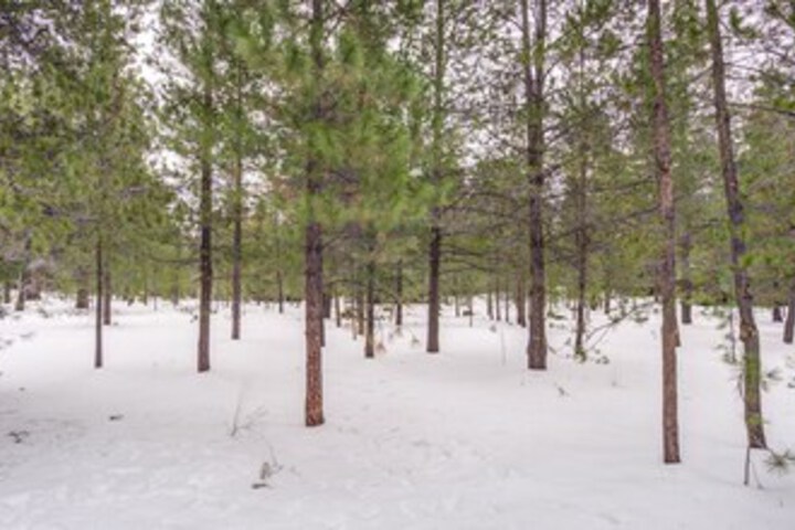 Property Grounds 14 of 19