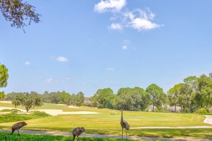 Golf 30 of 48