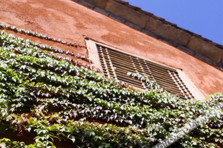 General 19 of 30