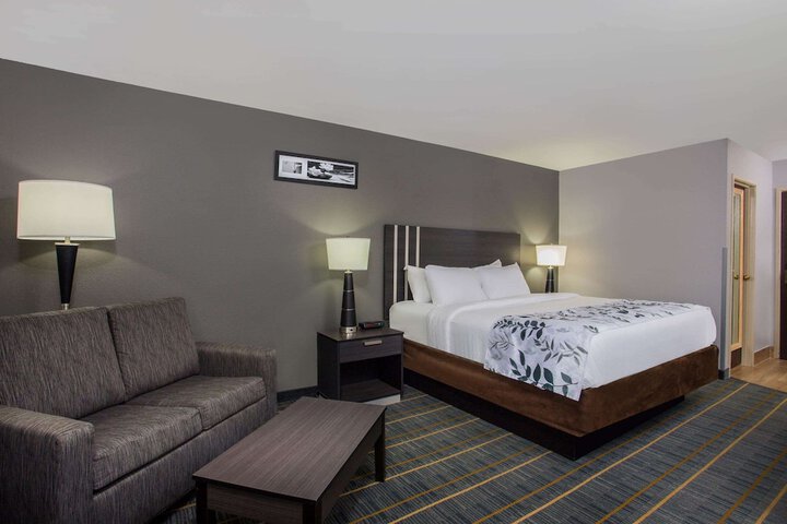 1 King Bed (4 of 10)