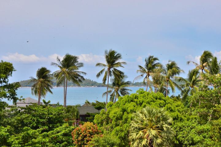 Hotel View 55 of 55